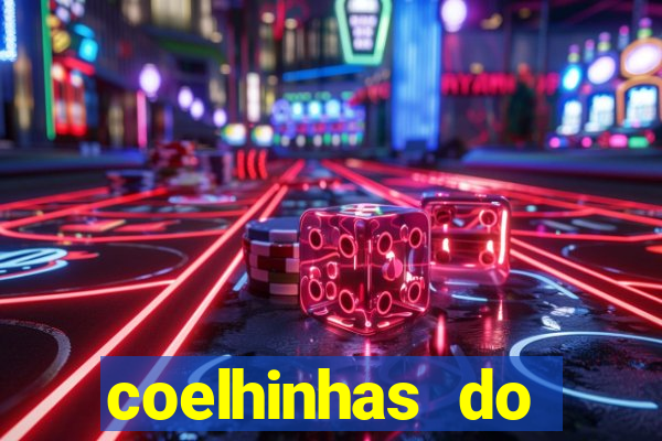 coelhinhas do brasil recife